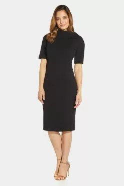 Adrianna Papell Roll Neck Sheath Dress