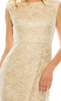 Adrianna Papell - AP1E200762 Embroidered Column Dress -Deals Adrianna Papell Store adrianna papell ap1e200762 embroidered column dress evening dresses 14748144042067