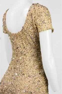 Adrianna Papell - Sequined Mesh Dress 41900220 10 Adrianna Papell - Sequined Mesh Dress 41900220 -Deals Adrianna Papell Store adrianna papell sequined mesh dress 41900220 special occasion dress 6 champ gold 5445727649849