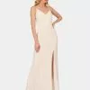 Adrianna Papell Jersey Draped Gown